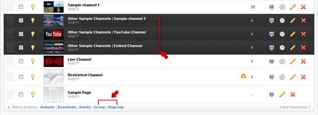 Grouping channels or pages for the auto-menu